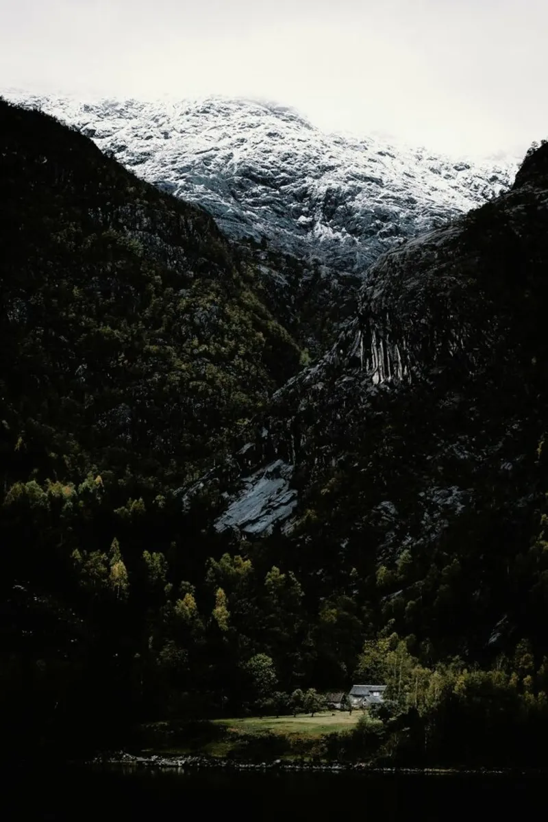 In A Land Far, Far Away by @nilsleithold pellicola backlit da EyeEm Mobile GmbH