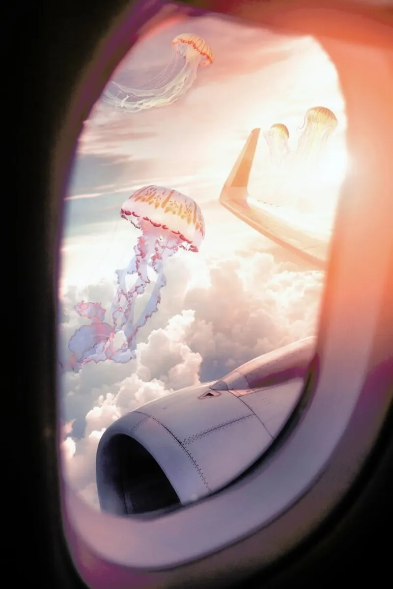 Jellyfish Plane poster con telaio in alluminio da Jonas Loose