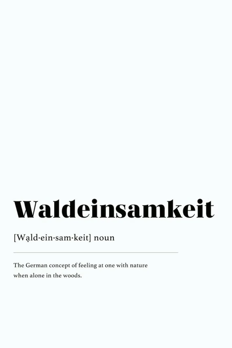 Waldeinsamkeit pellicola backlit da daylight design studio