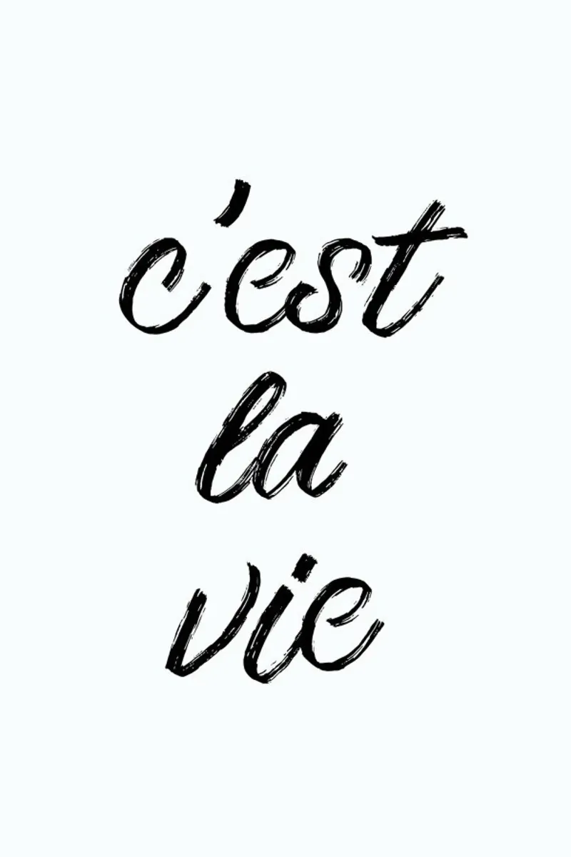 C'est la vie pellicola backlit da typed