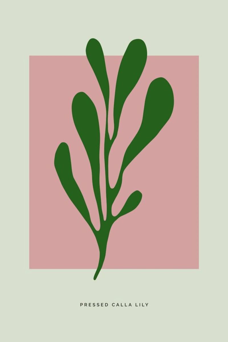 Pressed Calla Lily poster de Studio One