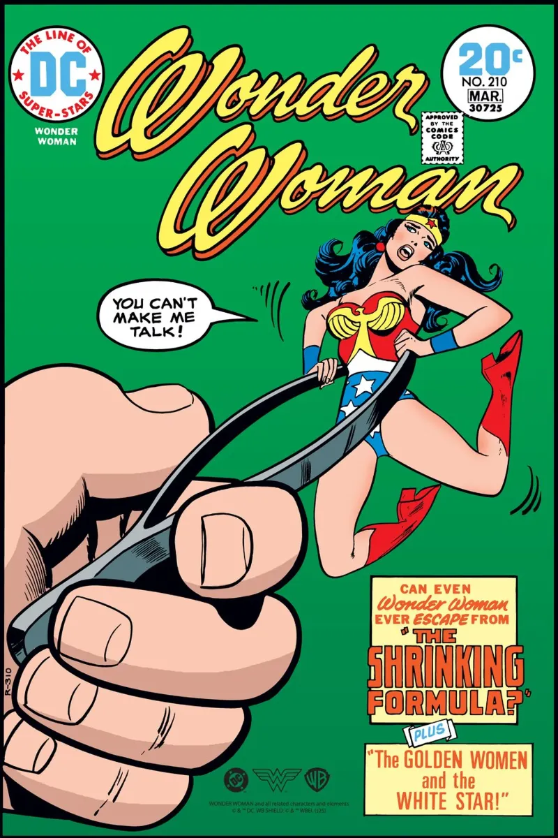 Wonder Woman #210 Leinwand von Comic Covers by Warner Bros.