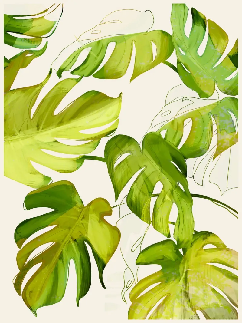 Monstera Foglie 2 pellicola backlit da ThingDesign