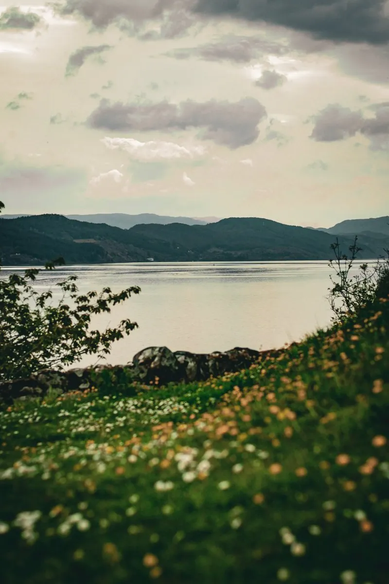Loch Ness, fotografia poster con telaio in plastica da Jule Shnc