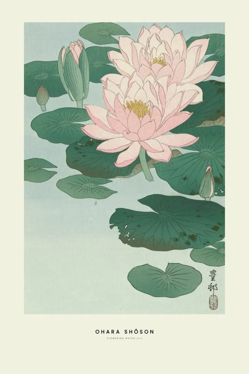 Ohara Shôson - Flowering Water Lily pellicola backlit da ARTOTHEK