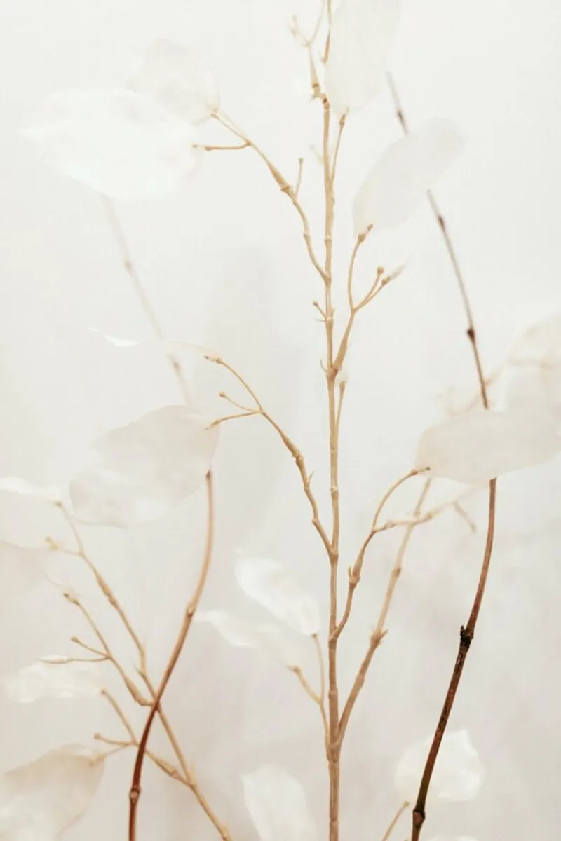 Abstract — Flowers II pellicola backlit da Sebastian Hilgetag