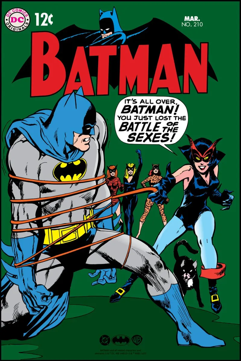 Batman No. 210 - Battle of the Sexes plexiglass da Comic Covers by Warner Bros.
