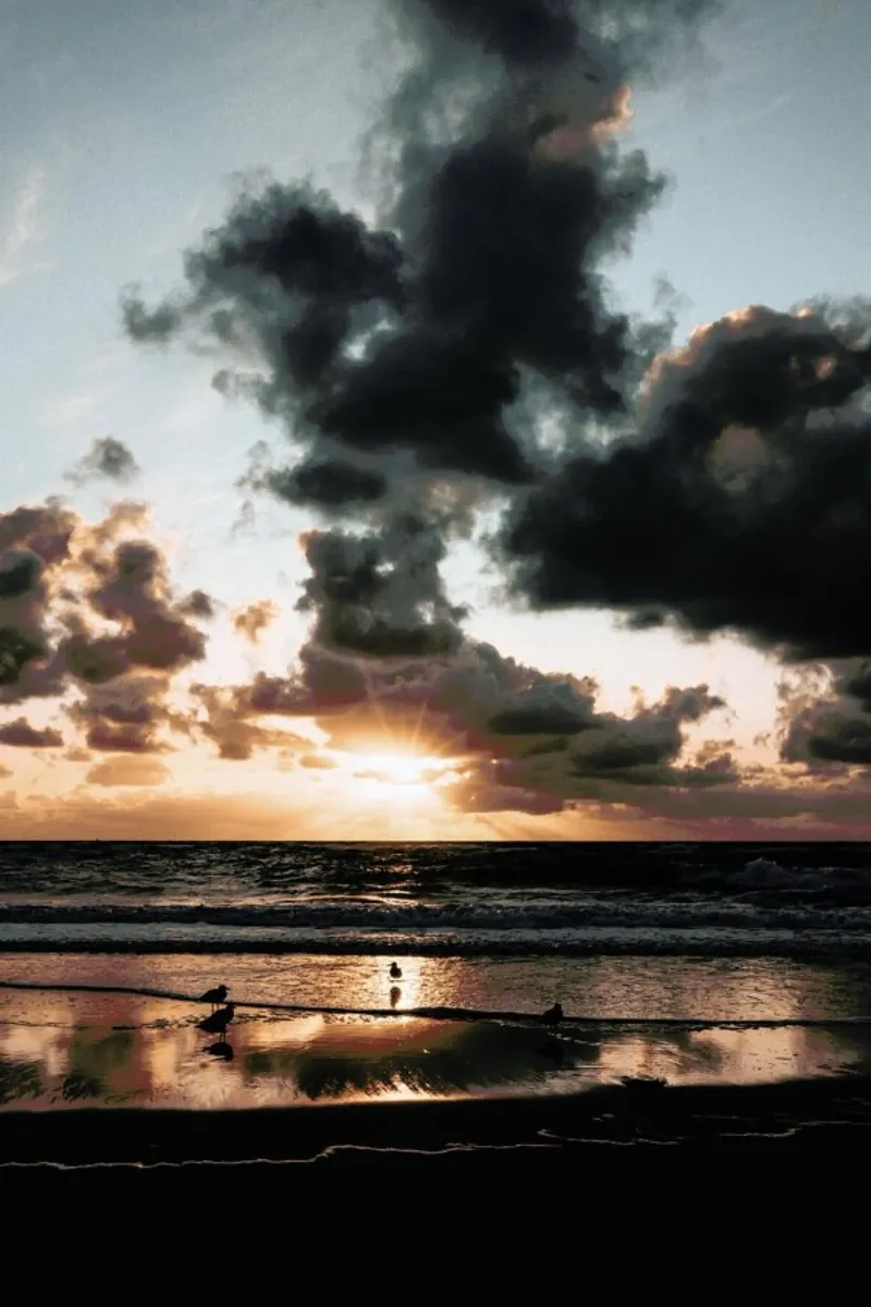 Sylt by Reisevergnügen pellicola backlit da Reisevergnügen