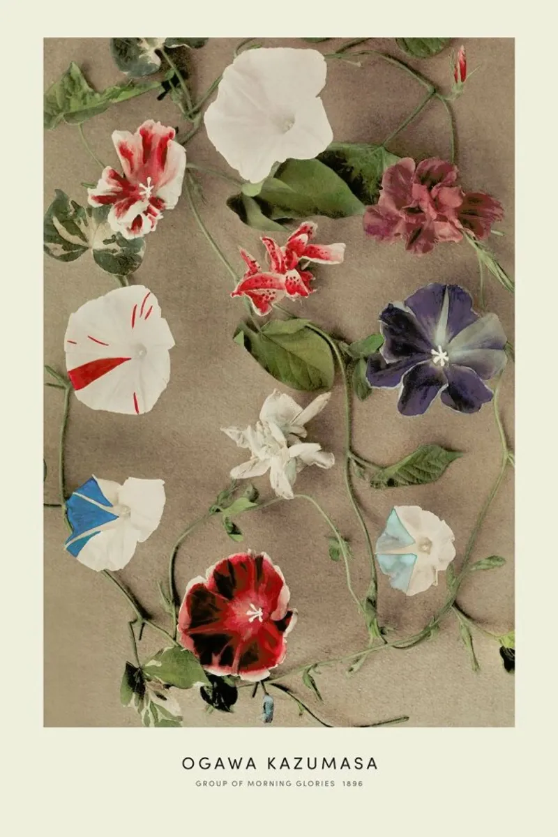 Kazumasa - Group of Morning Glories poster con telaio in plastica da Vintage by JUNIQE