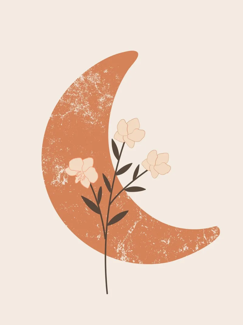 midcentury Floral moon art pellicola backlit da pdigitalprints