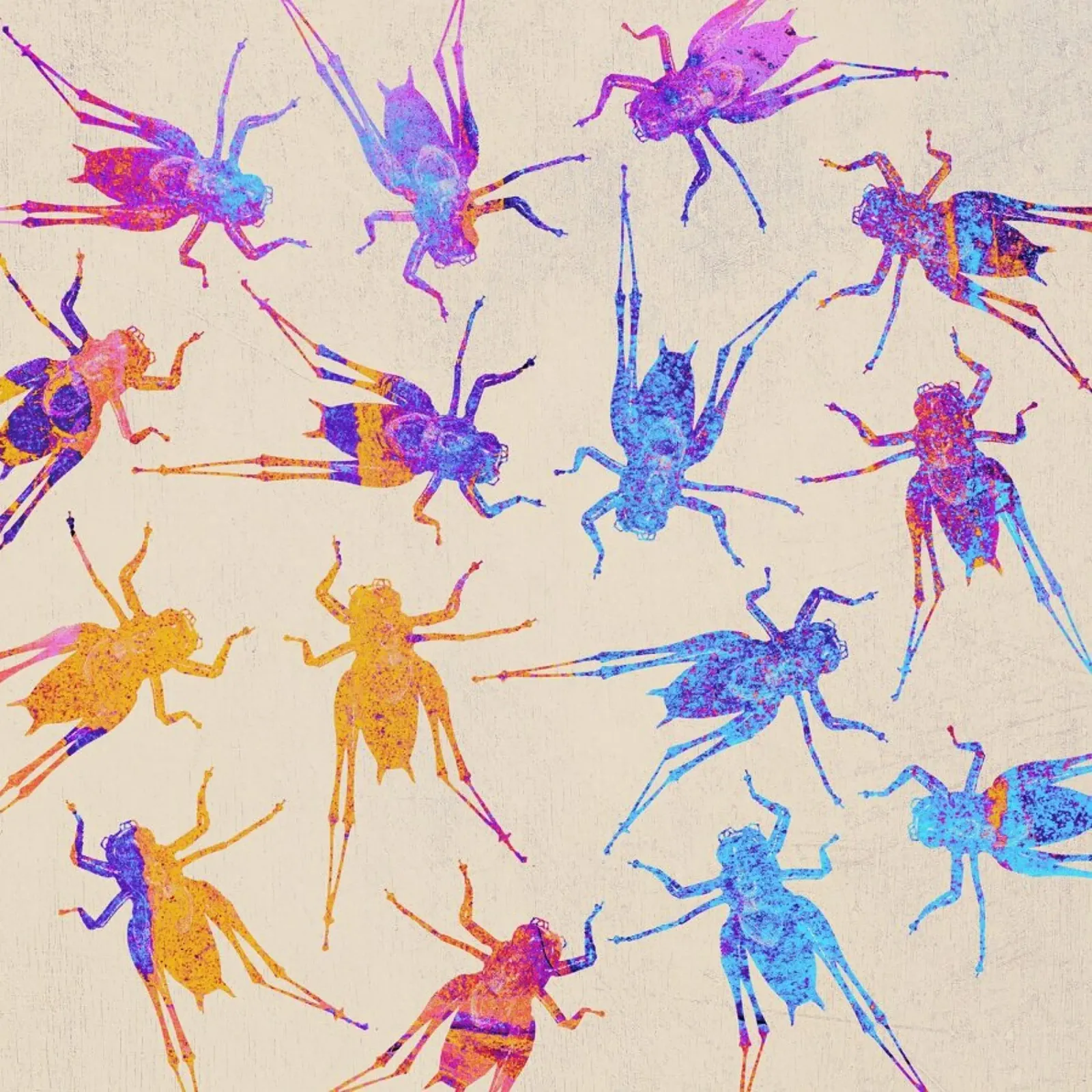 Grasshoppers 2 pellicola backlit da Elisabeth Fredriksson