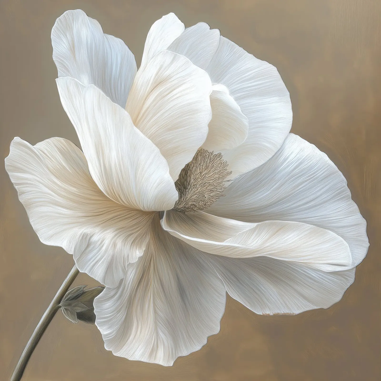 Bloem cream canvas by Imagine