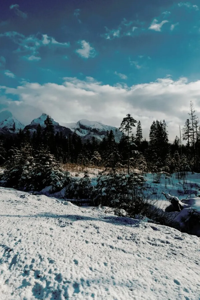Mountains And Trees plexiglass da Sebastian Hilgetag