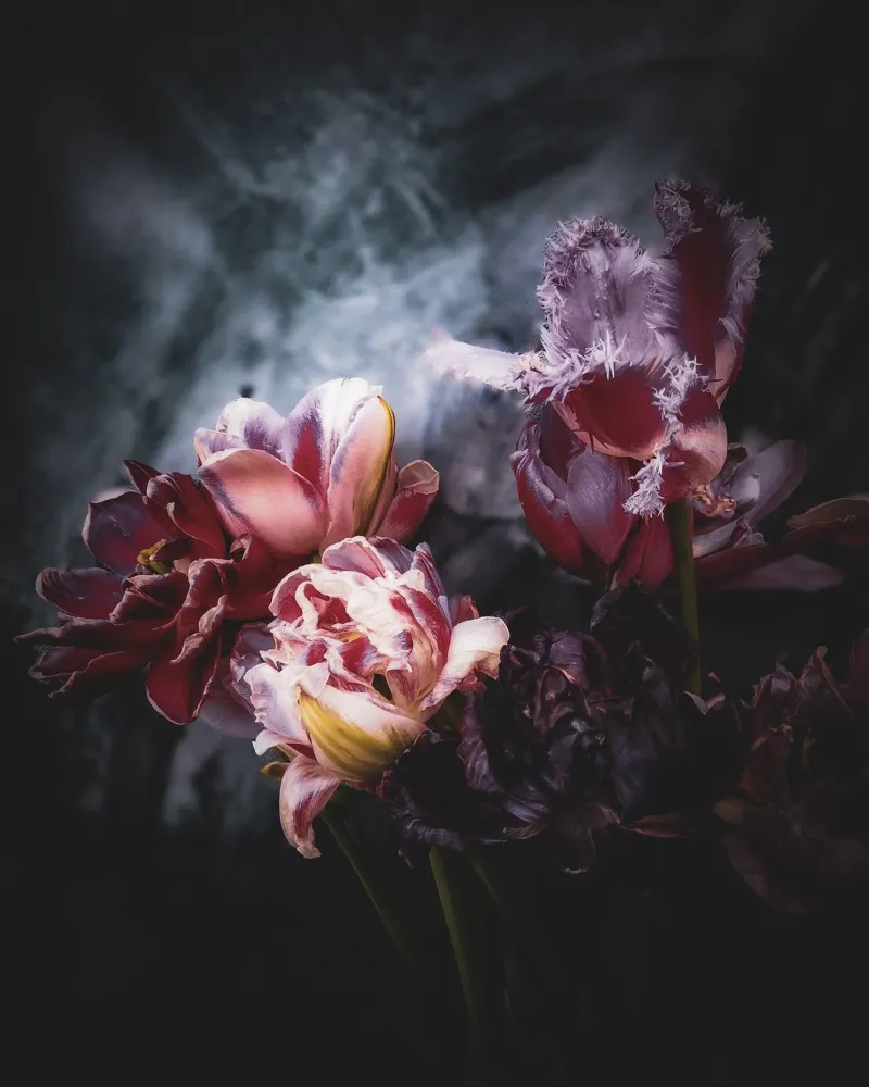 Moody Tulip Bouquet pellicola backlit da flowers.and.delight