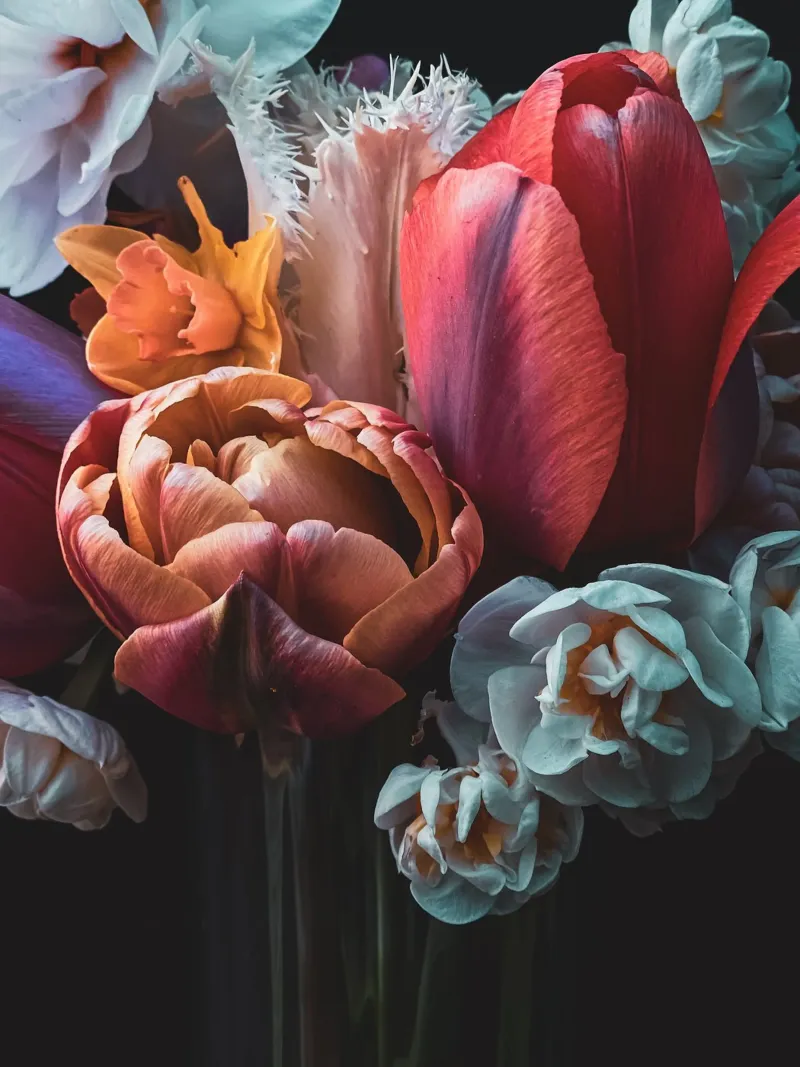 Tulip Flower Bouquet poster con telaio in plastica da flowers.and.delight