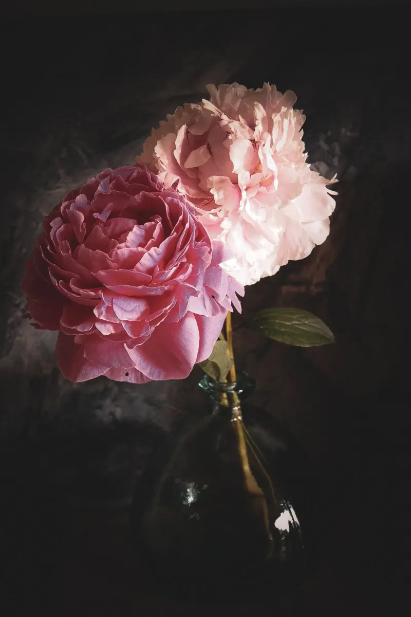 Peony Bouquet Poster mit Aluminium Rahmen von flowers.and.delight