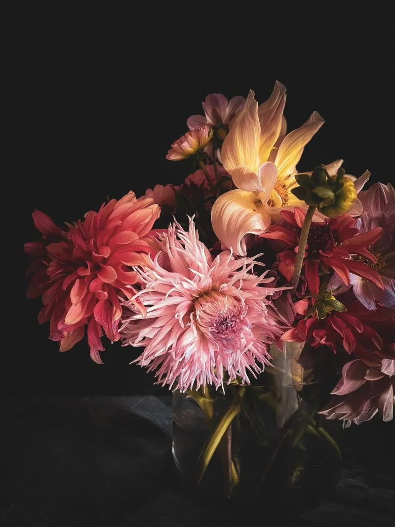 Moody Dahlia Bouquet pellicola backlit da flowers.and.delight