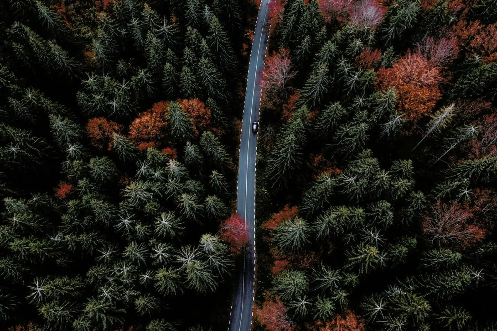 Driving Alone, Listening To Music @SzaboErvin-Edward pellicola backlit da EyeEm Mobile GmbH