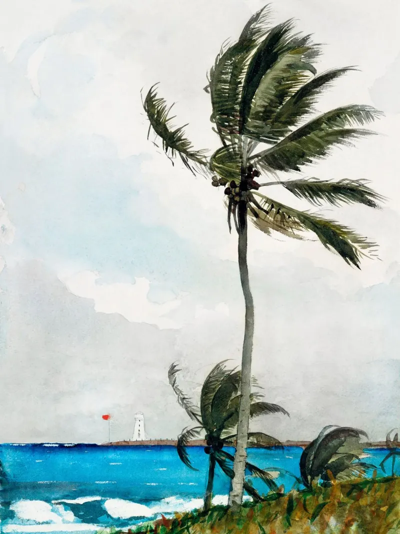 Palm Tree poster da Second Canvas
