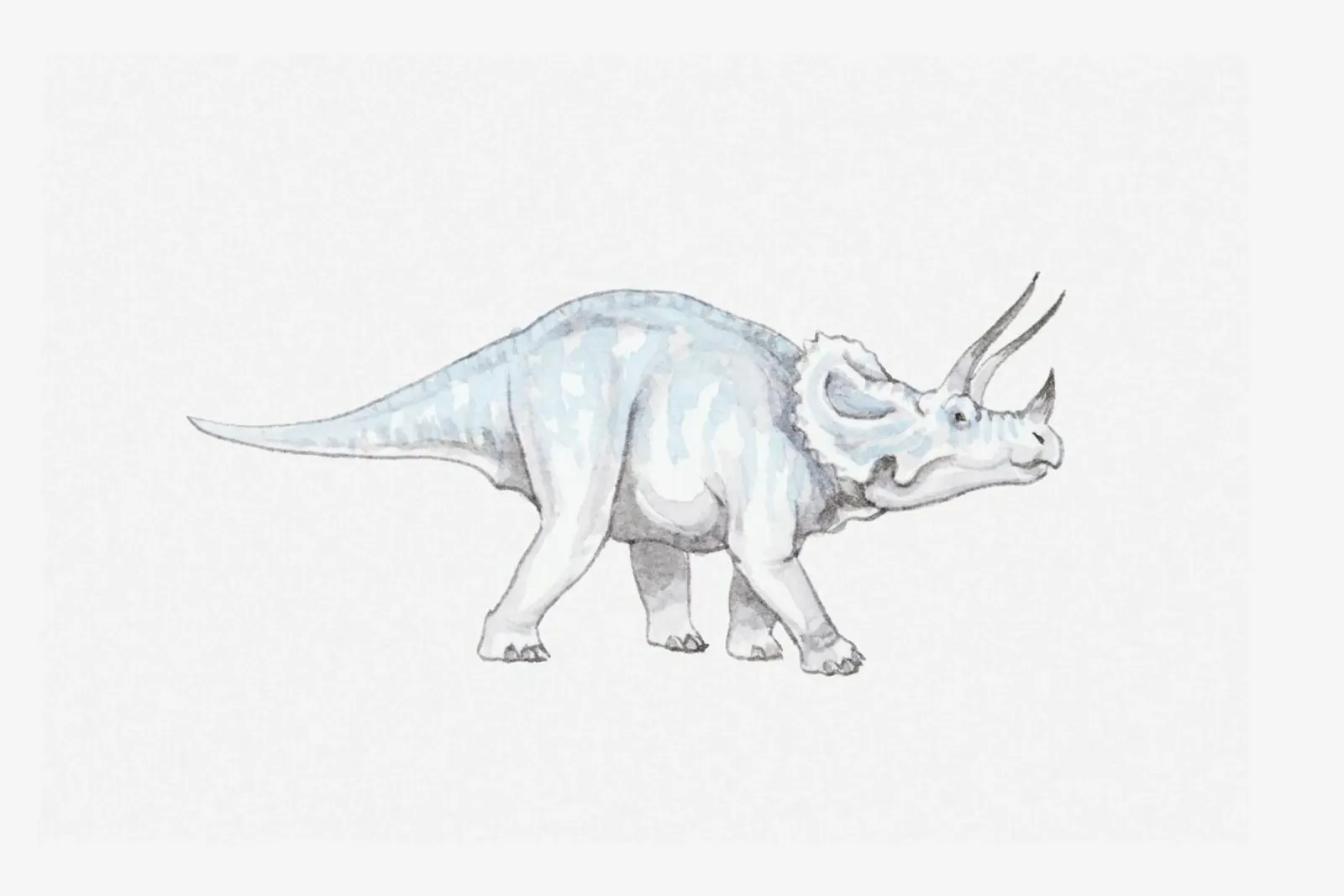 Pastel Triceratops pellicola backlit da Flora & Fauna