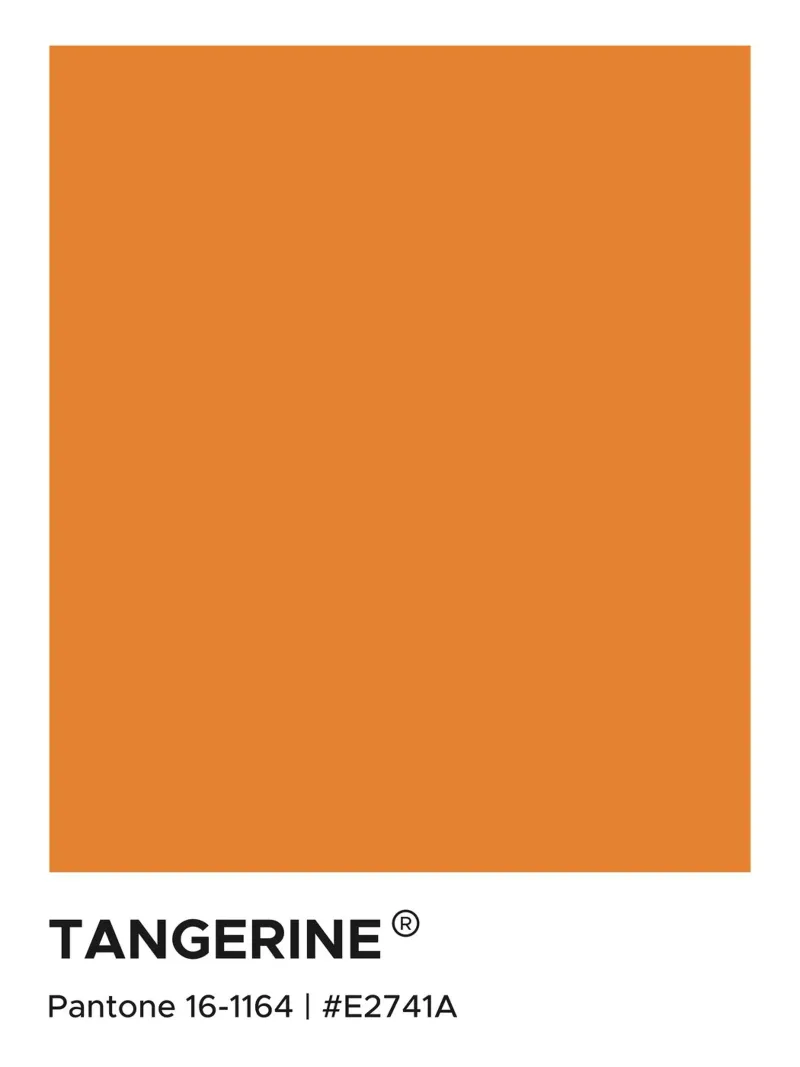 Mandarino Pantone pellicola backlit da Paigaam Studio