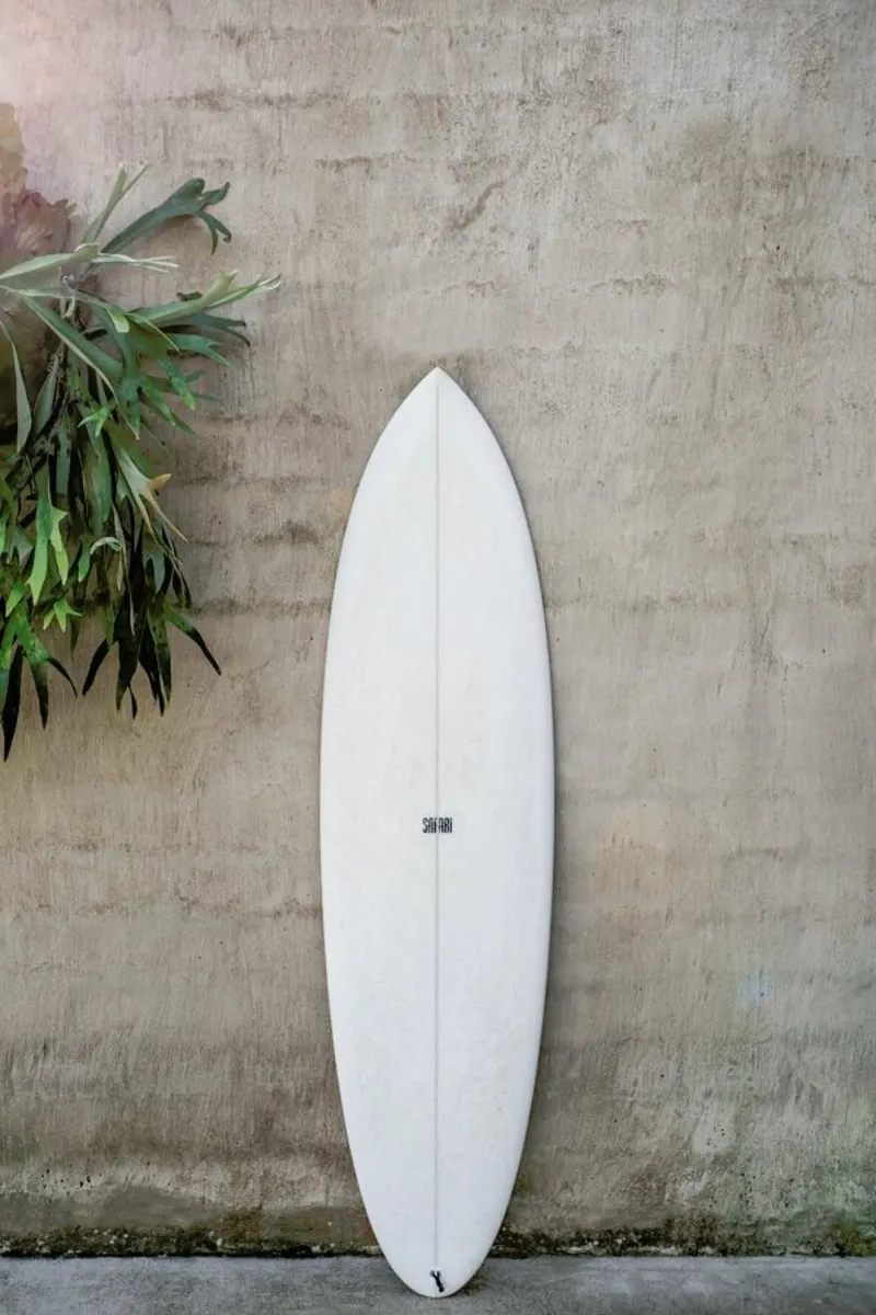 Safari Twinfin pellicola backlit da Shot By Clint