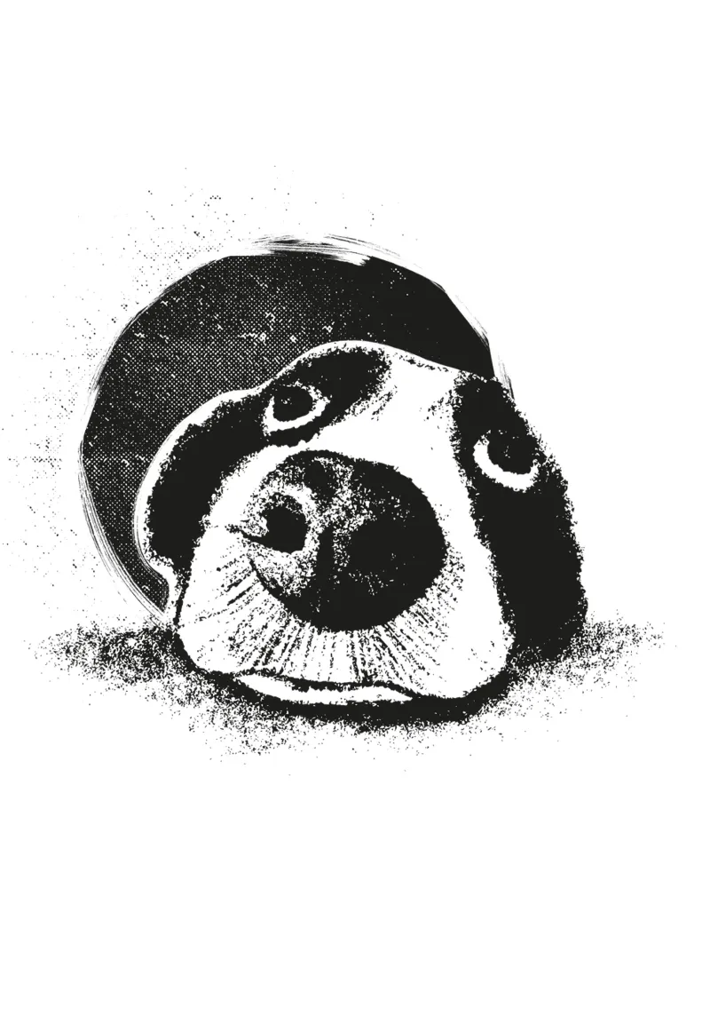 Vista del cane tela con Cornice a cassetta da Stella-Illustrations