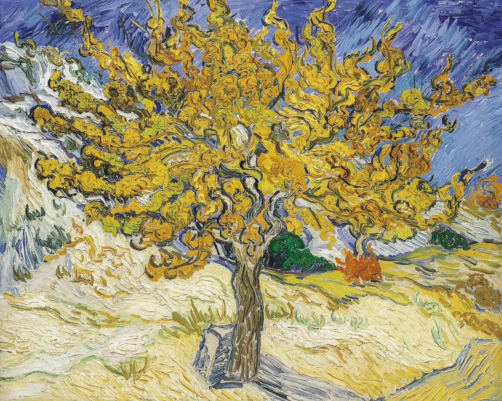 Vincent van Gogh, Maulbeerenbaum Malerei poster con telaio in alluminio da Carinaprint