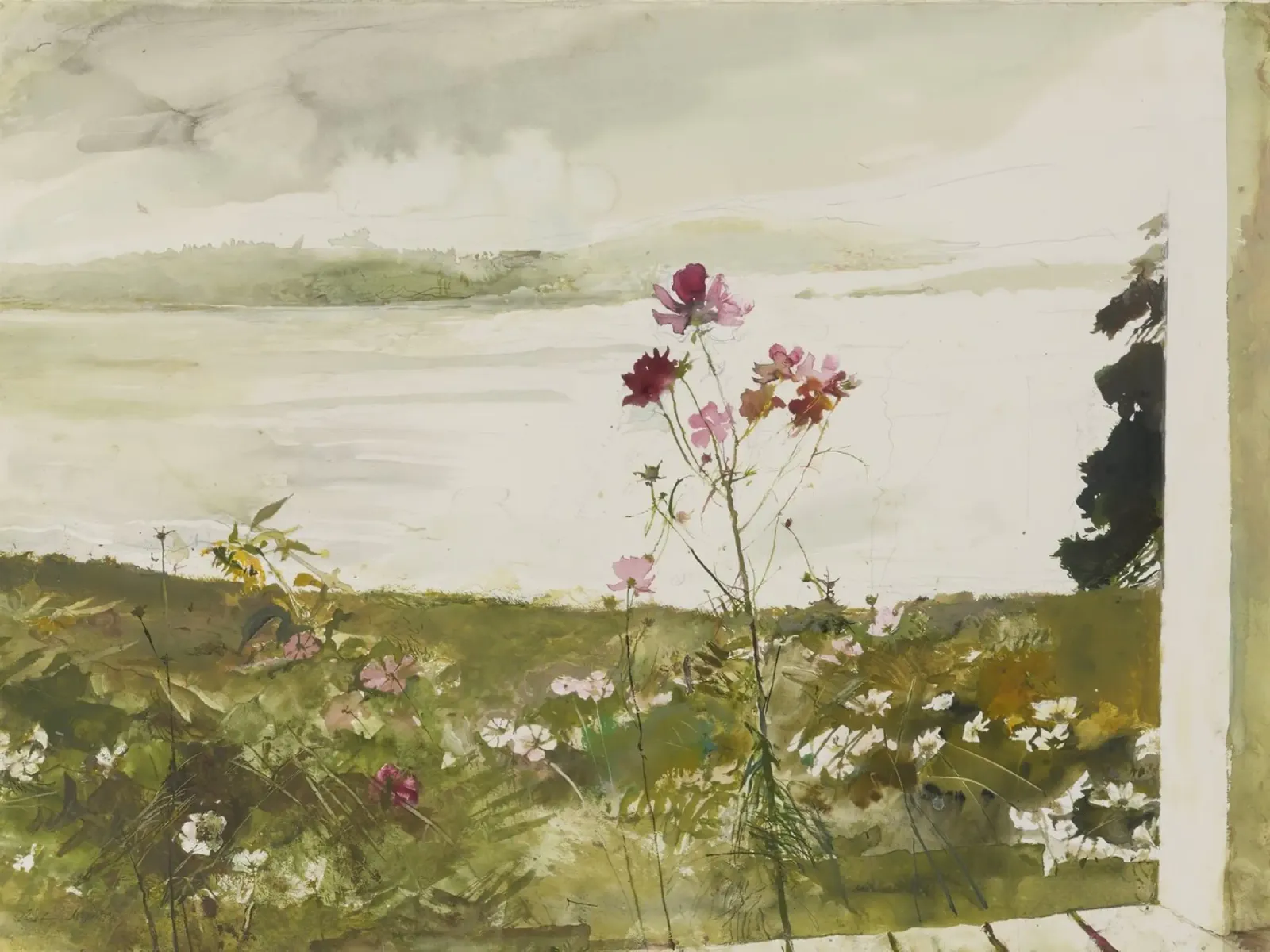 Andrew Wyeth Fiori di campo carta hahnemühle da Classicprint