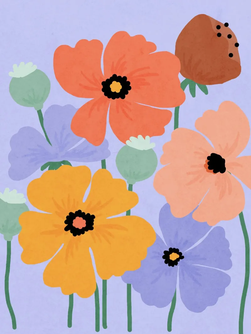 Wild Poppies poster da Gale Switzer