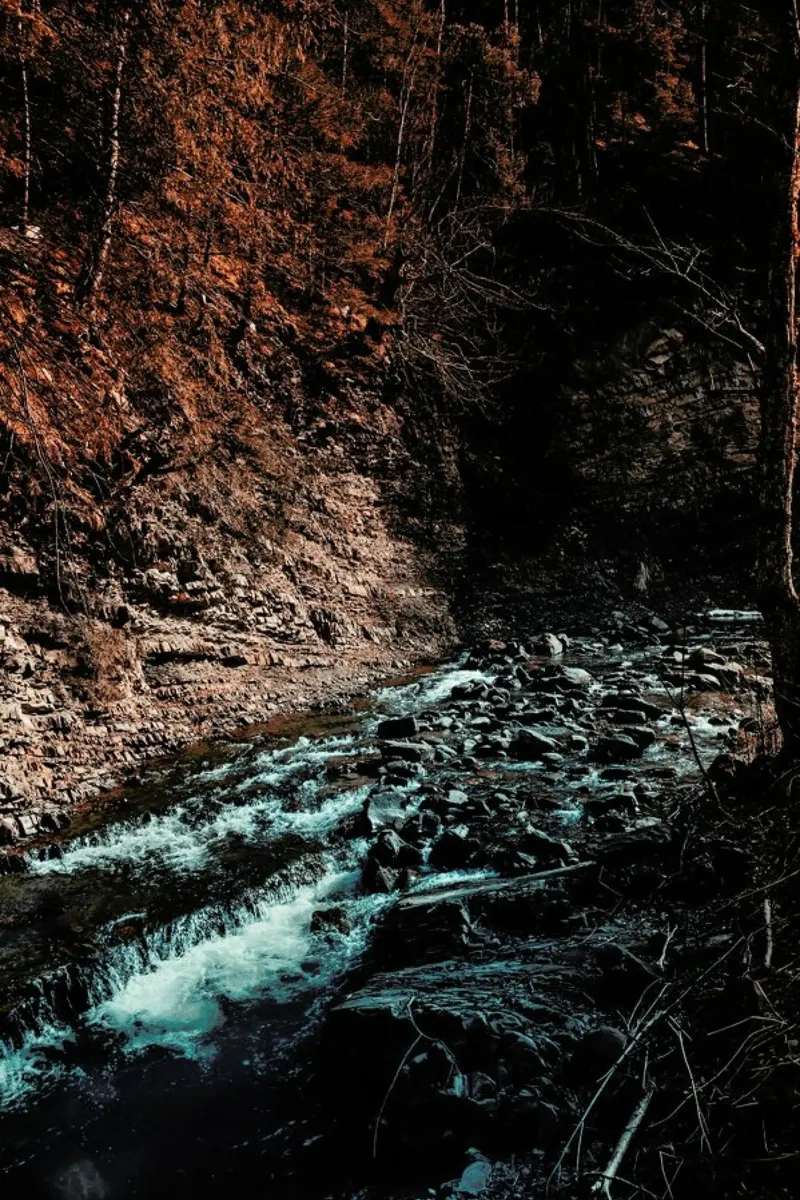 Idyllic River Through The Woods III carta hahnemühle da Sebastian Hilgetag
