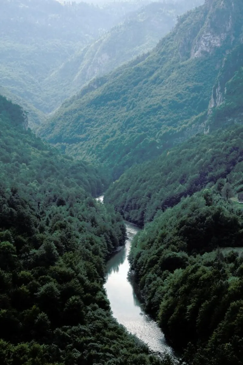 The River through the Forest plexiglass da Studio Nahili
