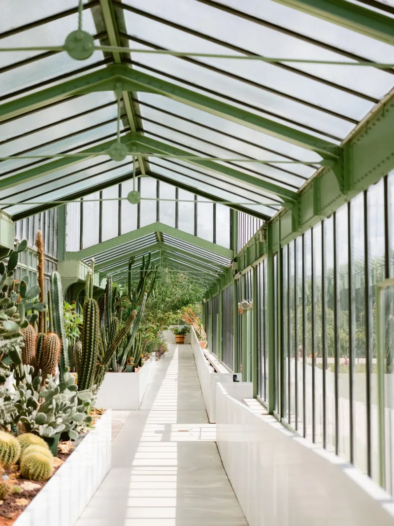 Glasshouse Walk – Cactus Lightscape hahnemühle de Raisa Zwart Photography