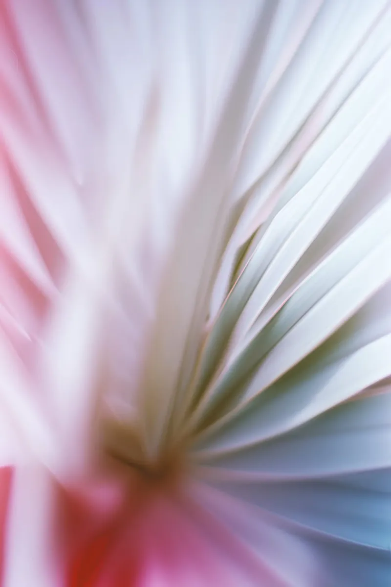 Pastel Palm Leaf pellicola backlit da Indigo Tides Art