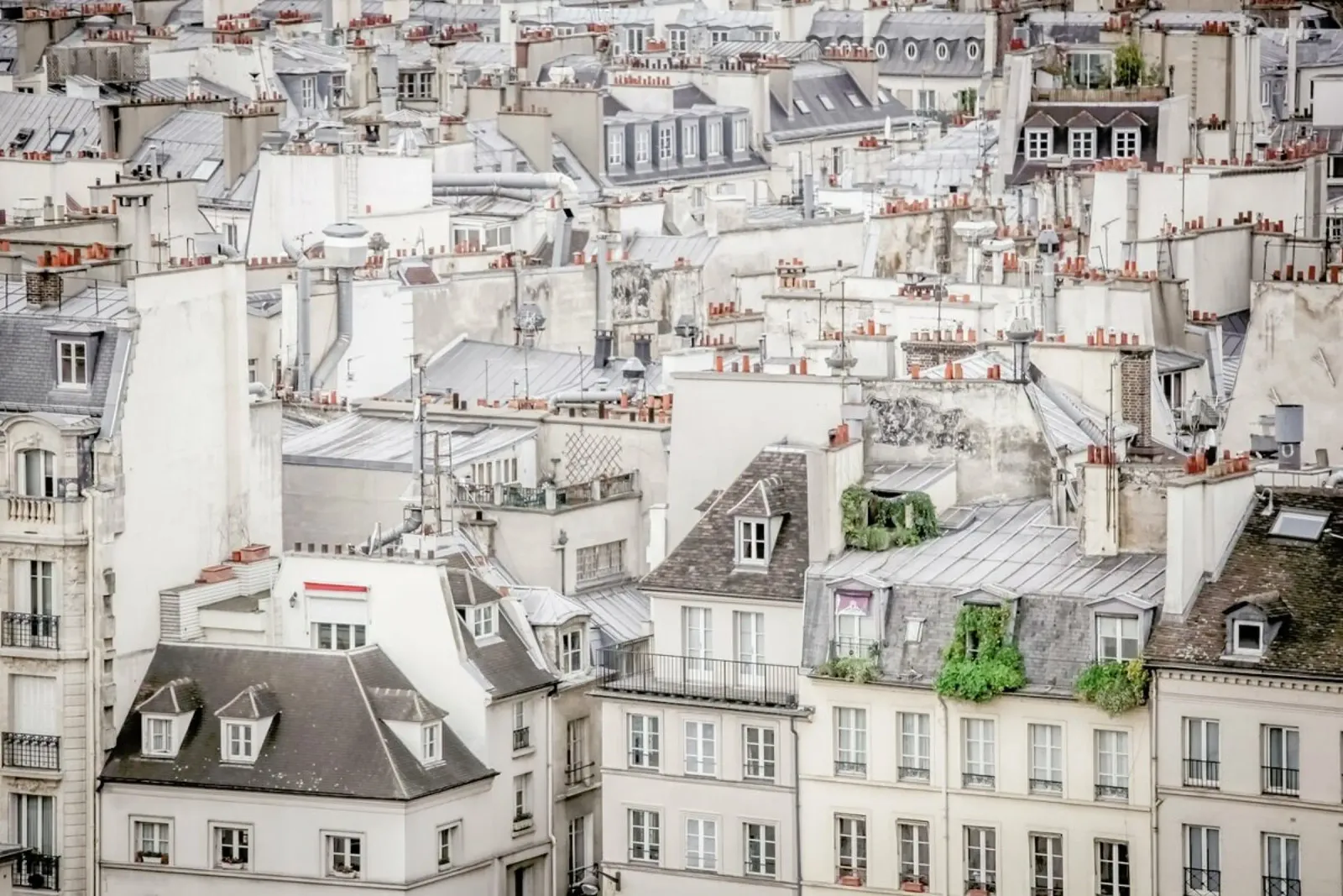 Roof Tops In Paris alu-dibond by Magdalena Martin Photography