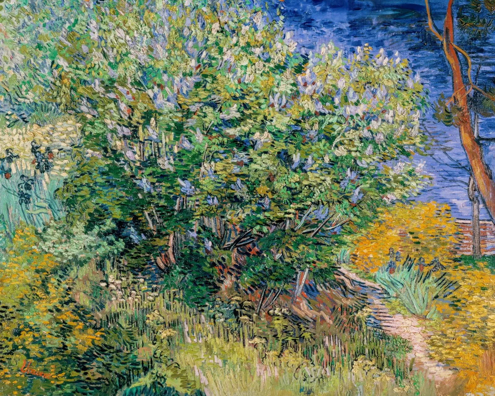 Vincent van Gogh, Seringenstruik, Bloemenweide canvas met Baklijst van Carinaprint