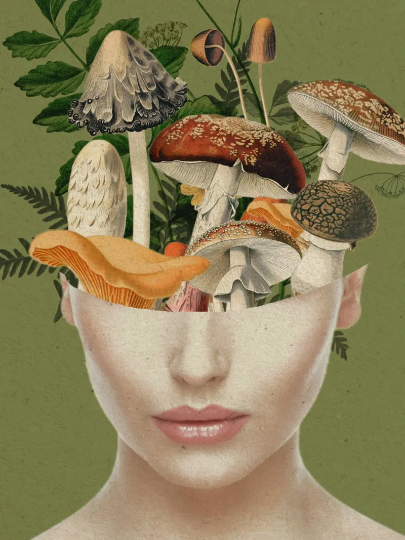La dame aux champignons 9 panneau forex de dada22
