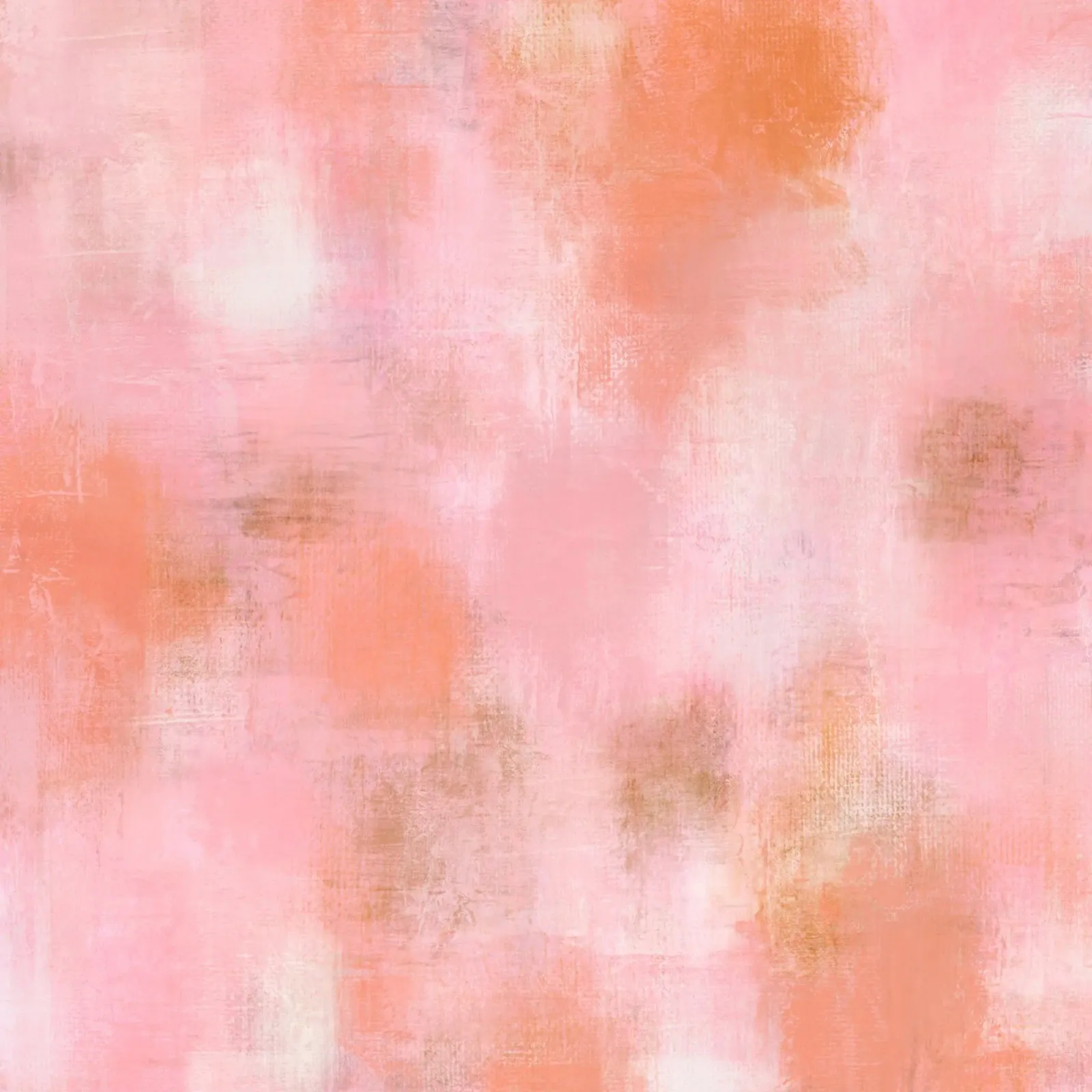 Delicate Rose Dream panneau forex de Petra Lang