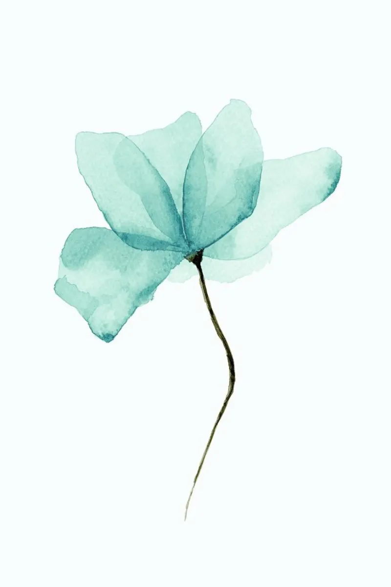 Paper Thin Flower pellicola backlit da Flora & Fauna