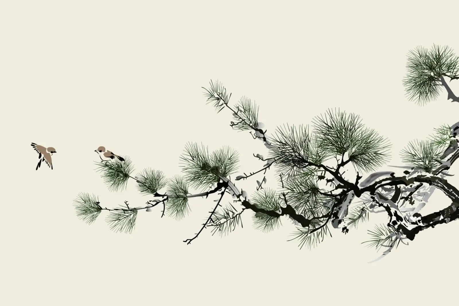 Birds and Pine pellicola backlit da Flora & Fauna