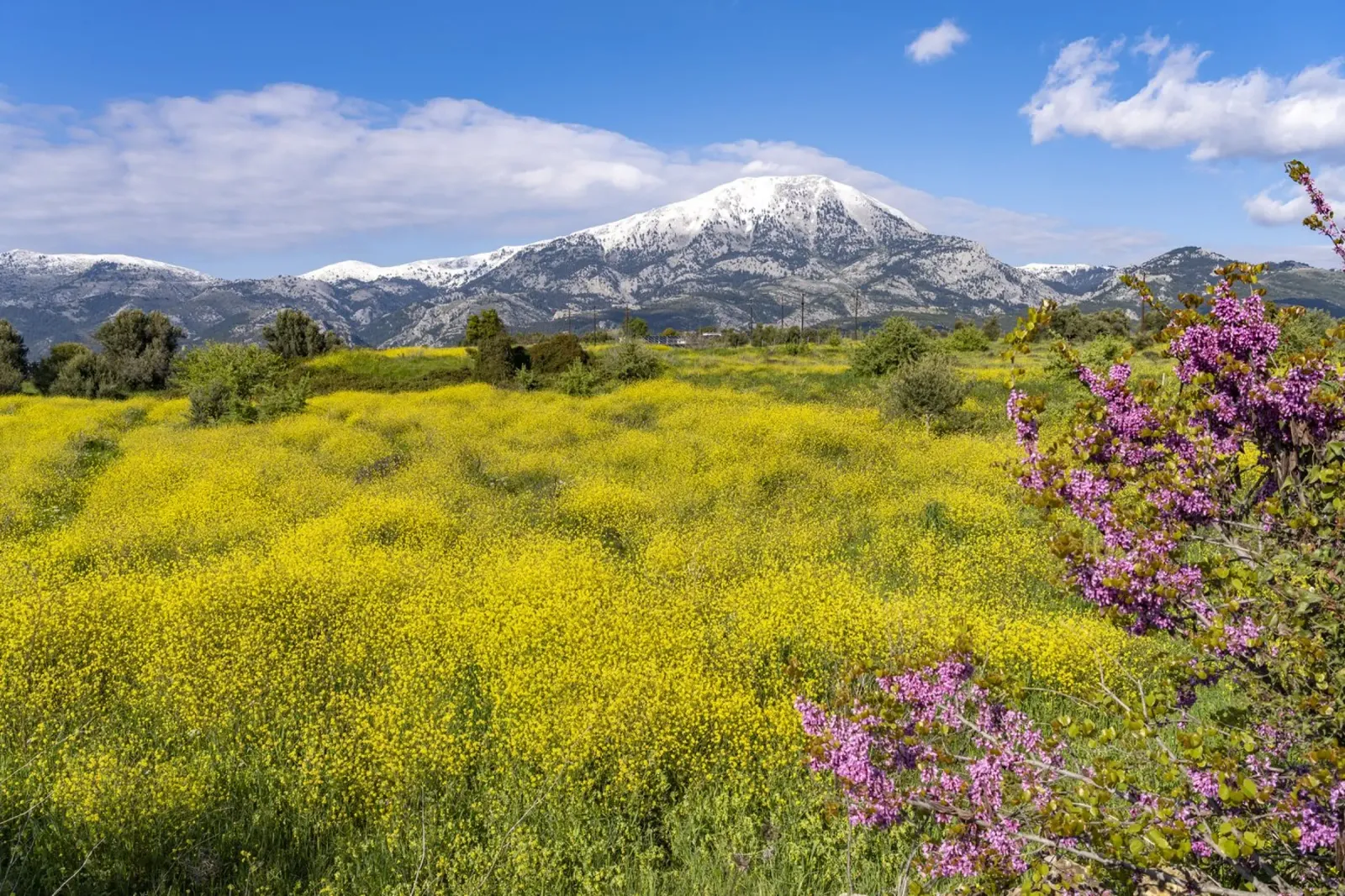 Frühling auf Euböa, Griechenland tela da Reisefotografie - Bilder aus aller Welt