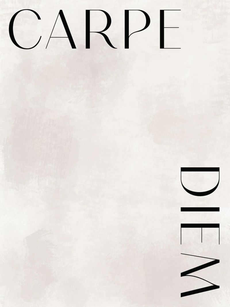 Carpe Diem No 01 plexiglass da treechild