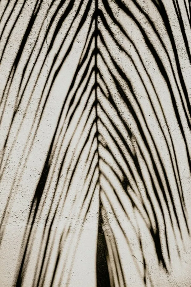 Palm Shadow carta hahnemühle da Flora & Fauna