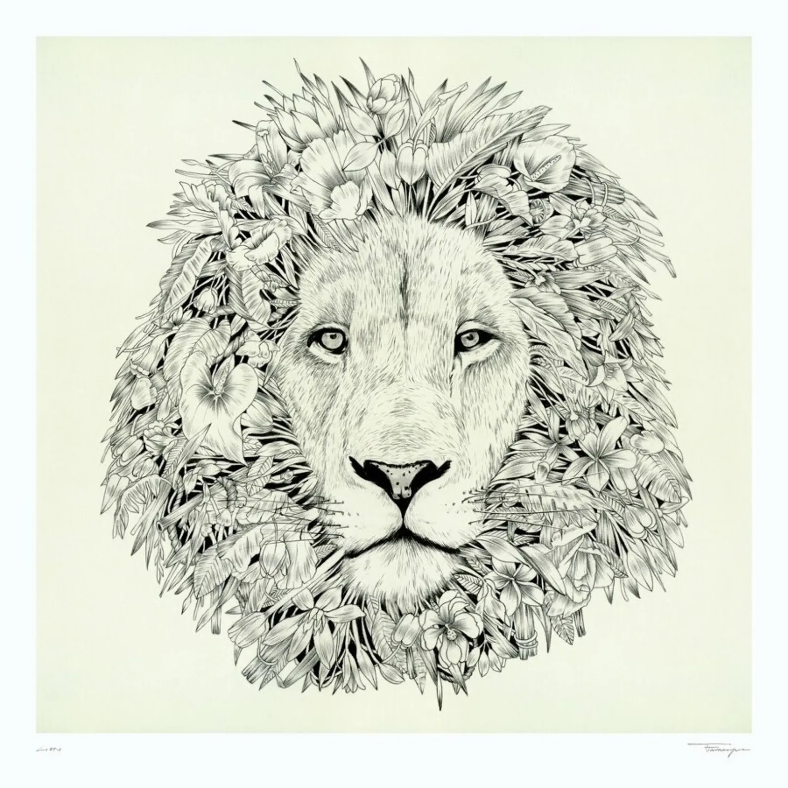 Lion pellicola backlit da Faunesque