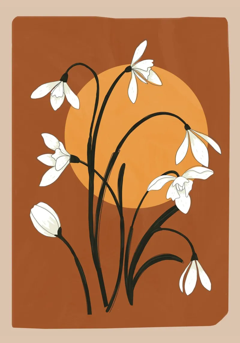 Beautiful Snowdrop Flowers 1 pellicola backlit da cityart