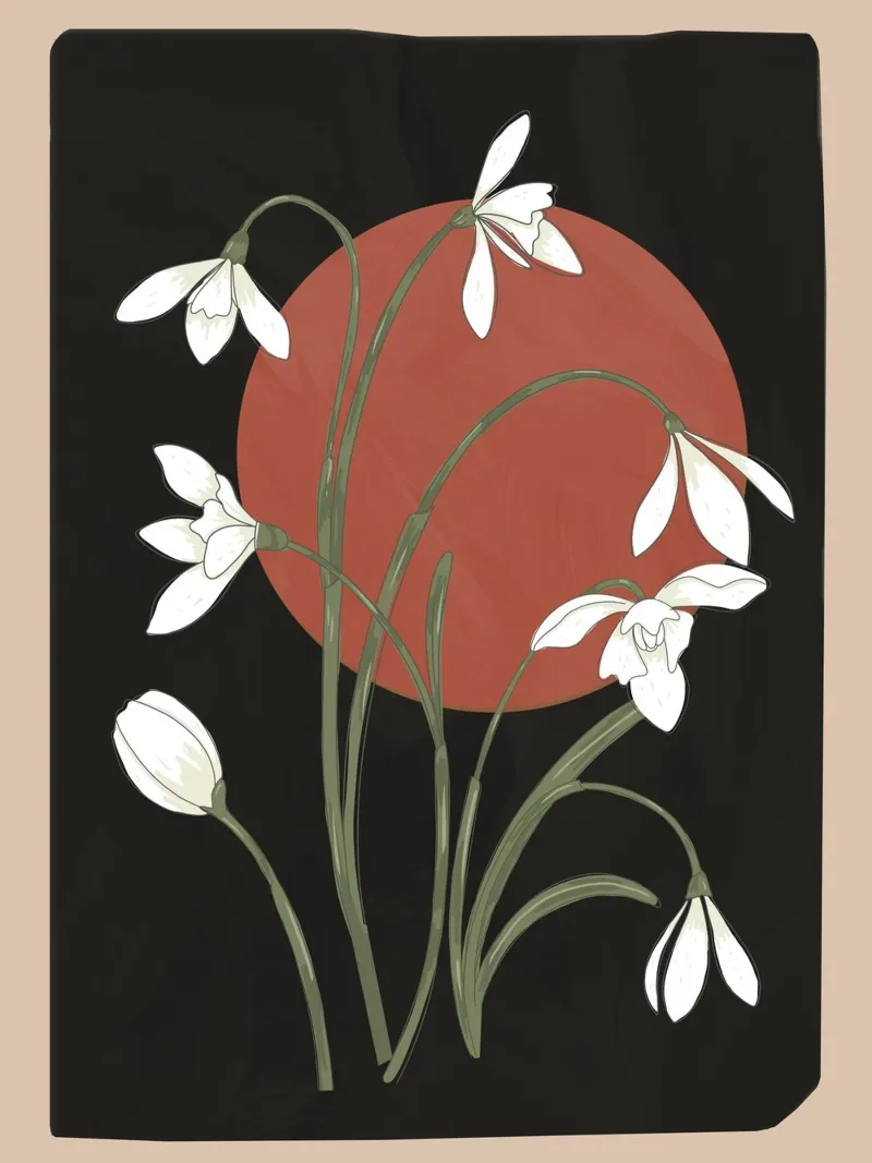 Beautiful Snowdrop Flowers 2 pellicola backlit da cityart