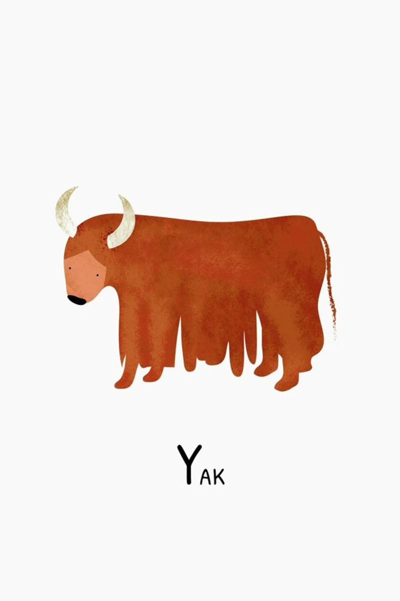 Yak alluminio dibond da Little Flourishes