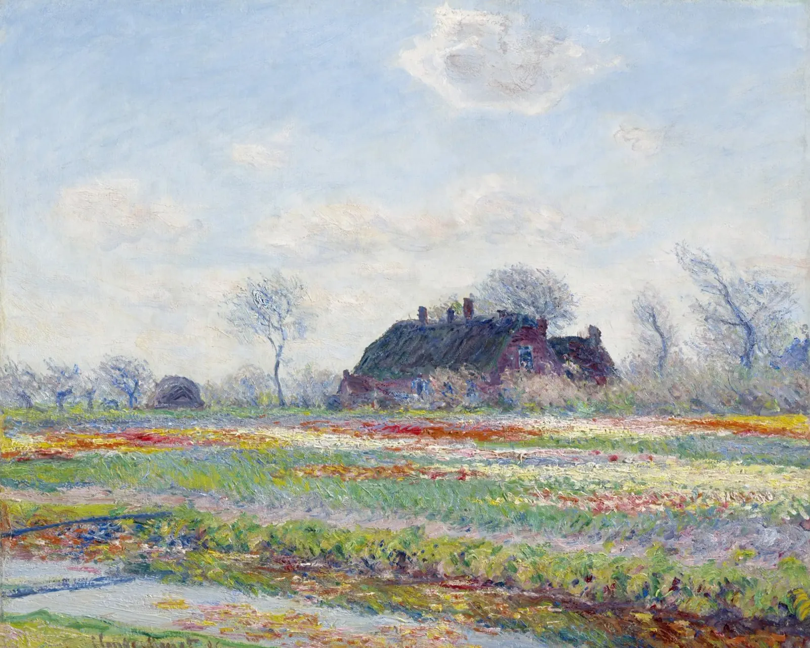 Claude Monet’s Tulip Fields at Sassenheim (1886) pellicola backlit da Monet Art Prints