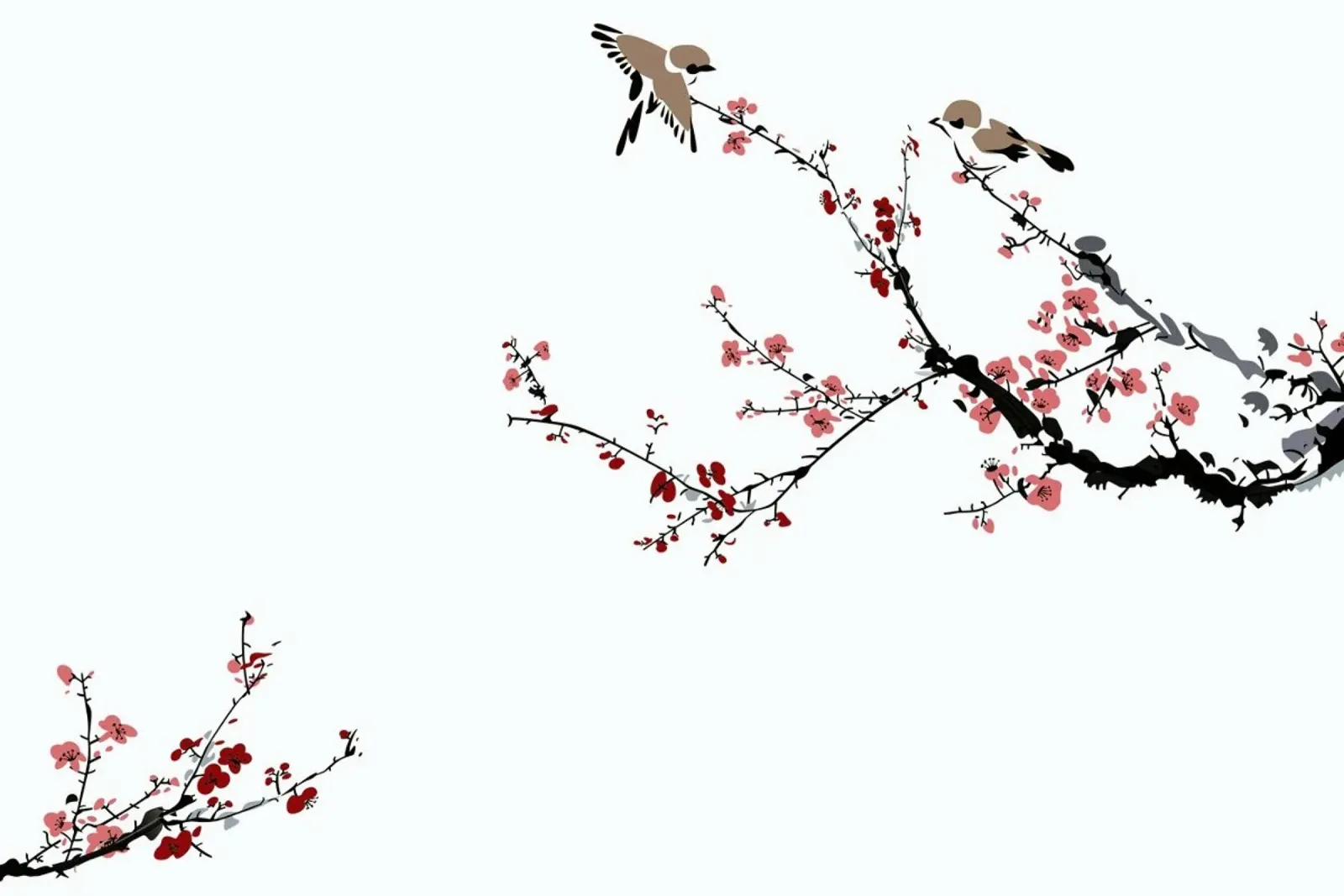 Jays & Sakura II pellicola backlit da Flora & Fauna