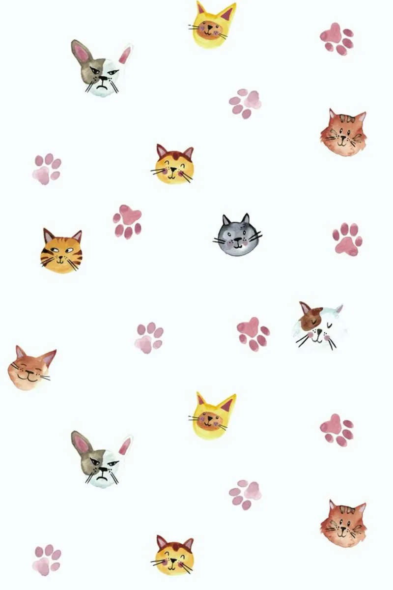 Cats canvas by Sabrina Ziegenhorn